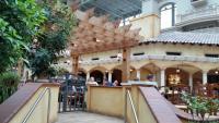 dining al fresco at the Gaylord Palms
