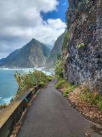 Madeira's early roads before infrastructure improvements