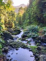 follow the waterfall trail into the hills of Grena Park