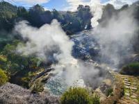 walk the town of Furnas to experience the bubbling thermal vents