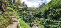 Sao Miguel's beautiful Parque Natural da Ribeira dos Caldeirões