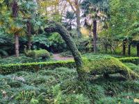 stroll the apiary gardens within the grounds of the Terra Nostra Garden Hotel