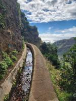 walking the edge of Levada Nova, Madeira