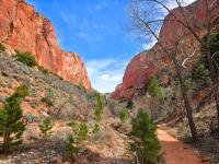 hike one of Kolob Canyons many finger canyons (click any photo to enlarge) 