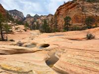 Petroglyph pools etched in the sandstone