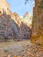 Zion's fabled Narrows hike (in low water)