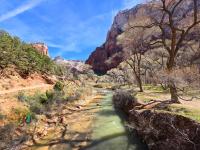 wander riverside along the Virgin River