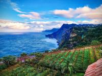 view of Madeira's north coast from Hotel La Quinta do Farao