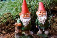 Creepy Gnome