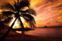 Cook Island Hideaway