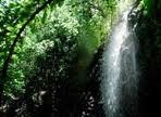 Tahiti's Ecotourism Trails